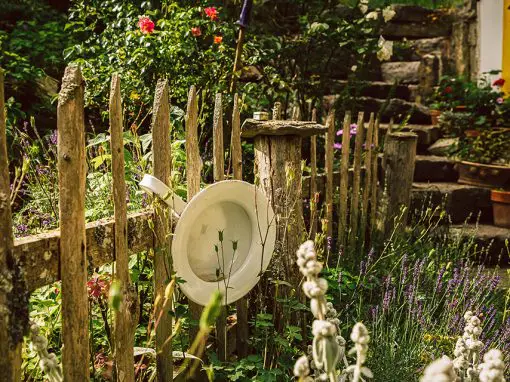 Zaun und Blumen im Garten